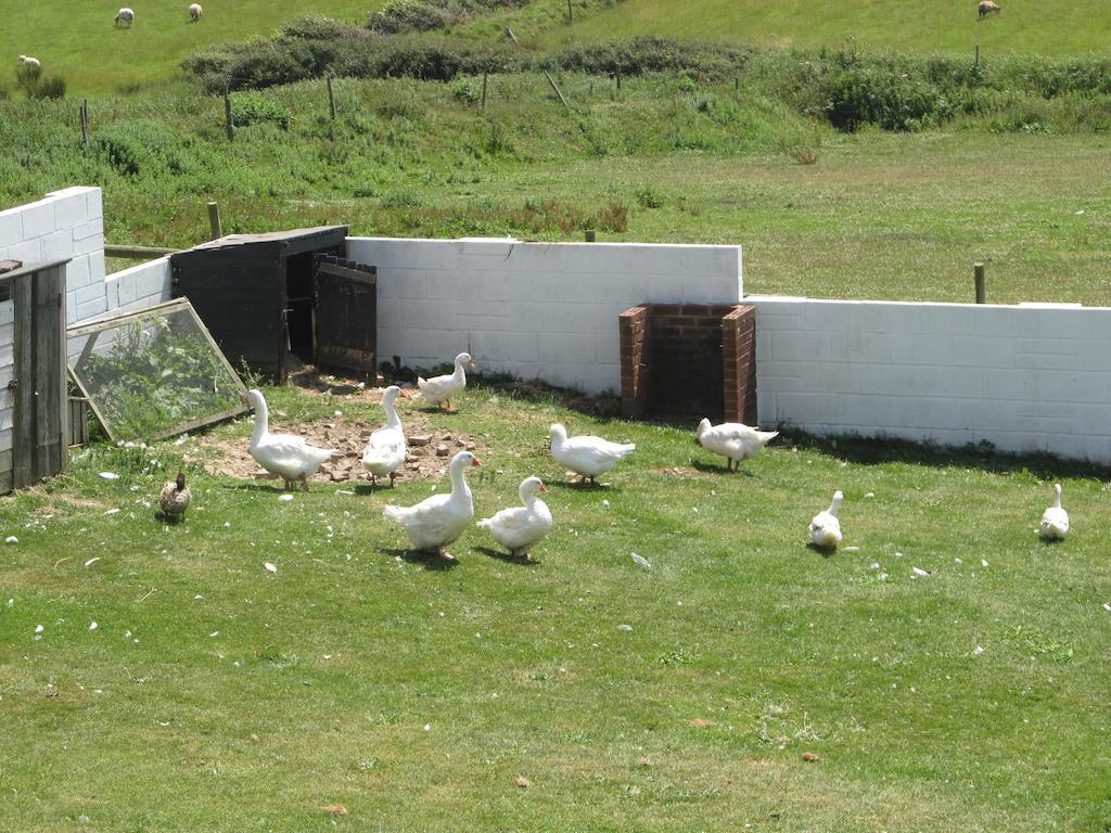 Upton Cross B&B Bude Exterior photo
